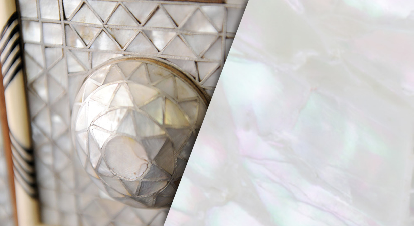What is the Difference between Abalone And Mother of Pearl?